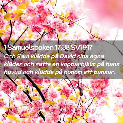 Picture 02 - 1 Samuelsboken 17:38 SV1917 - Och Saul klädde på David sina egna kläder och - Bible Verse Picture