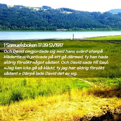 Picture 02 - 1 Samuelsboken 17:39 SV1917 - Och David omgjordade sig med hans svärd utanpå - Bible Verse Picture