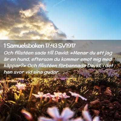 Picture 02 - 1 Samuelsboken 17:43 SV1917 - Och filistéen sade till David: »Menar du att - Bible Verse Picture