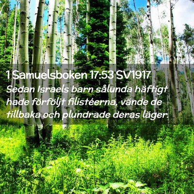 Picture 02 - 1 Samuelsboken 17:53 SV1917 - Sedan Israels barn sålunda häftigt hade - Bible Verse Picture