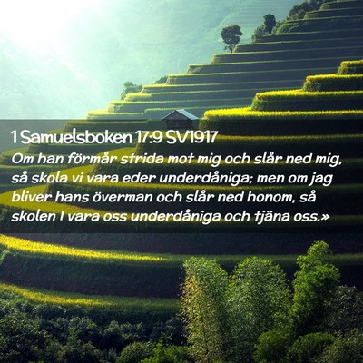 Picture 02 - 1 Samuelsboken 17:9 SV1917 - Om han förmår strida mot mig och slår ned mig, - Bible Verse Picture