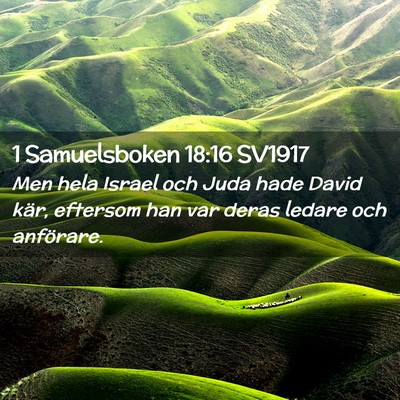 Picture 02 - 1 Samuelsboken 18:16 SV1917 - Men hela Israel och Juda hade David kär, - Bible Verse Picture