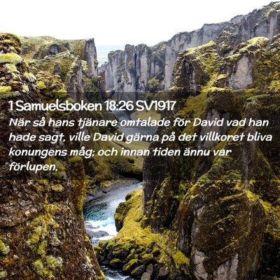 Picture 02 - 1 Samuelsboken 18:26 SV1917 - När så hans tjänare omtalade för David vad - Bible Verse Picture