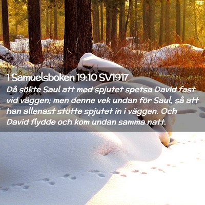 Picture 02 - 1 Samuelsboken 19:10 SV1917 - Då sökte Saul att med spjutet spetsa David fast - Bible Verse Picture