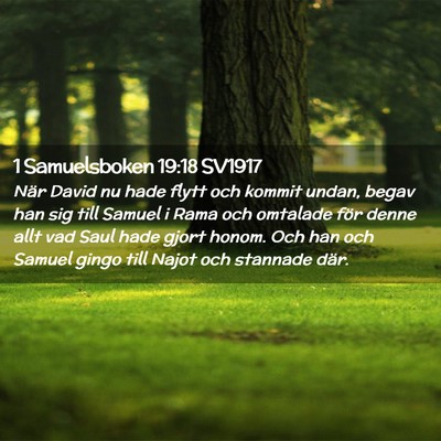 Picture 02 - 1 Samuelsboken 19:18 SV1917 - När David nu hade flytt och kommit undan, begav - Bible Verse Picture