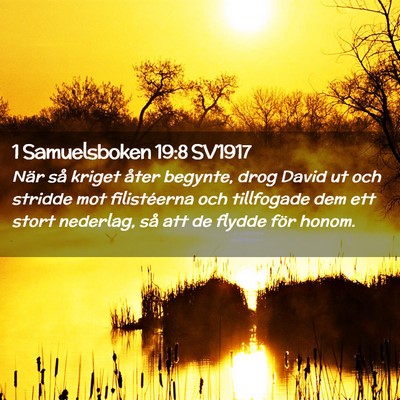 Picture 02 - 1 Samuelsboken 19:8 SV1917 - När så kriget åter begynte, drog David ut och - Bible Verse Picture