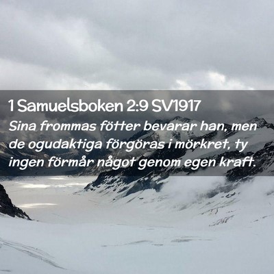 Picture 02 - 1 Samuelsboken 2:9 SV1917 - Sina frommas fötter bevarar han, men de - Bible Verse Picture
