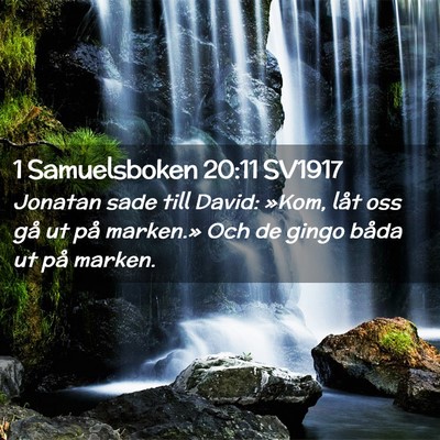 Picture 02 - 1 Samuelsboken 20:11 SV1917 - Jonatan sade till David: »Kom, låt oss gå ut - Bible Verse Picture