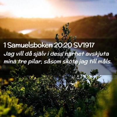 Picture 02 - 1 Samuelsboken 20:20 SV1917 - Jag vill då själv i dess närhet avskjuta mina - Bible Verse Picture