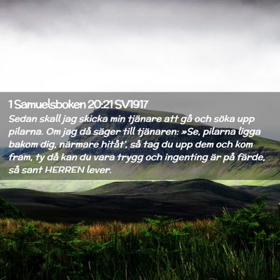 Picture 02 - 1 Samuelsboken 20:21 SV1917 - Sedan skall jag skicka min tjänare att gå och - Bible Verse Picture