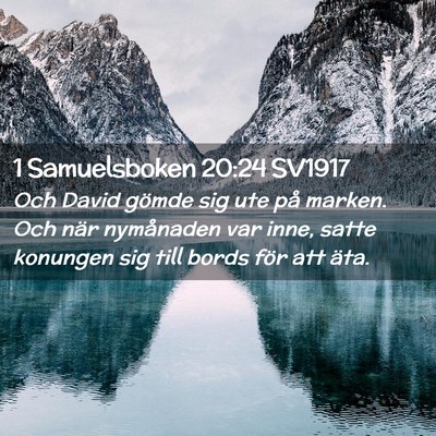 Picture 02 - 1 Samuelsboken 20:24 SV1917 - Och David gömde sig ute på marken. Och när - Bible Verse Picture
