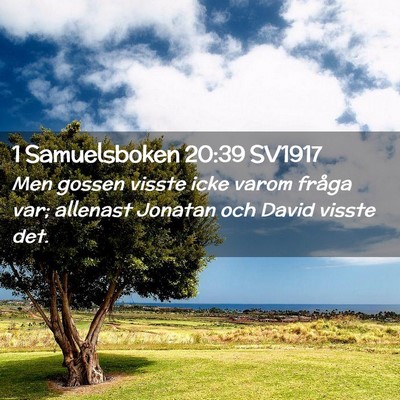 Picture 02 - 1 Samuelsboken 20:39 SV1917 - Men gossen visste icke varom fråga var; allenast - Bible Verse Picture