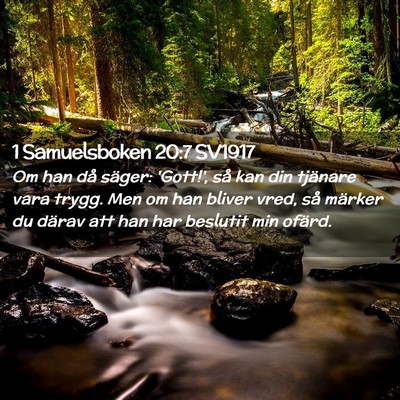 Picture 02 - 1 Samuelsboken 20:7 SV1917 - Om han då säger: 'Gott!', så kan din tjänare - Bible Verse Picture