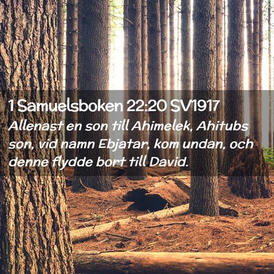 Picture 02 - 1 Samuelsboken 22:20 SV1917 - Allenast en son till Ahimelek, Ahitubs son, vid - Bible Verse Picture