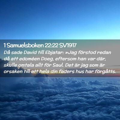 Picture 02 - 1 Samuelsboken 22:22 SV1917 - Då sade David till Ebjatar: »Jag förstod redan - Bible Verse Picture