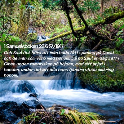 Picture 02 - 1 Samuelsboken 22:6 SV1917 - Och Saul fick höra att man hade fått spaning - Bible Verse Picture