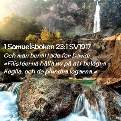 Picture 02 - 1 Samuelsboken 23:1 SV1917 - Och man berättade för David: »Filistéerna - Bible Verse Picture