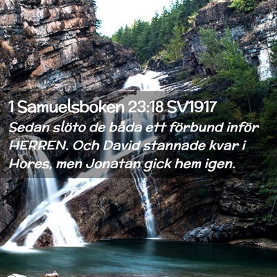 Picture 02 - 1 Samuelsboken 23:18 SV1917 - Sedan slöto de båda ett förbund inför HERREN. - Bible Verse Picture