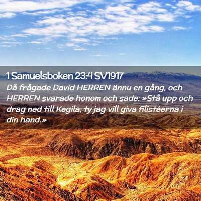 Picture 02 - 1 Samuelsboken 23:4 SV1917 - Då frågade David HERREN ännu en gång, och - Bible Verse Picture