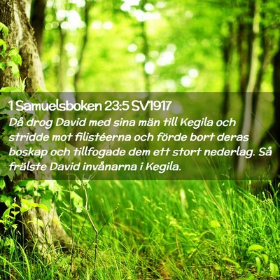 Picture 02 - 1 Samuelsboken 23:5 SV1917 - Då drog David med sina män till Kegila och - Bible Verse Picture