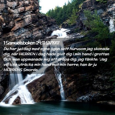 Picture 02 - 1 Samuelsboken 24:11 SV1917 - Du har ju i dag med egna ögon sett hurusom jag - Bible Verse Picture