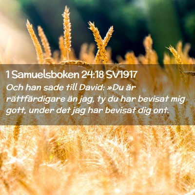 Picture 02 - 1 Samuelsboken 24:18 SV1917 - Och han sade till David: »Du är rättfärdigare - Bible Verse Picture