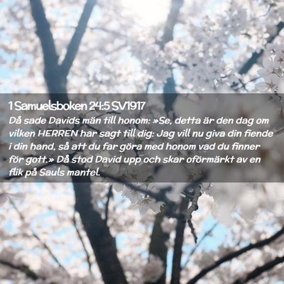 Picture 02 - 1 Samuelsboken 24:5 SV1917 - Då sade Davids män till honom: »Se, detta är - Bible Verse Picture