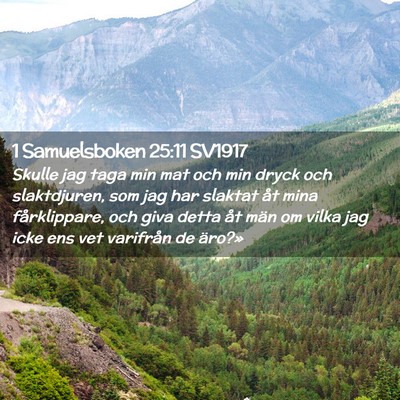 Picture 02 - 1 Samuelsboken 25:11 SV1917 - Skulle jag taga min mat och min dryck och - Bible Verse Picture