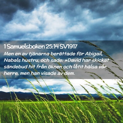 Picture 02 - 1 Samuelsboken 25:14 SV1917 - Men en av tjänarna berättade för Abigail, - Bible Verse Picture