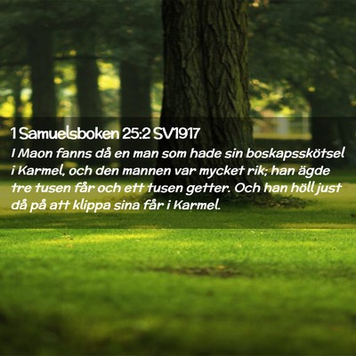 Picture 02 - 1 Samuelsboken 25:2 SV1917 - I Maon fanns då en man som hade sin - Bible Verse Picture