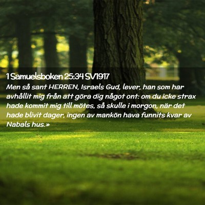 Picture 02 - 1 Samuelsboken 25:34 SV1917 - Men så sant HERREN, Israels Gud, lever, han som - Bible Verse Picture