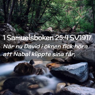 Picture 02 - 1 Samuelsboken 25:4 SV1917 - När nu David i öknen fick höra att Nabal - Bible Verse Picture