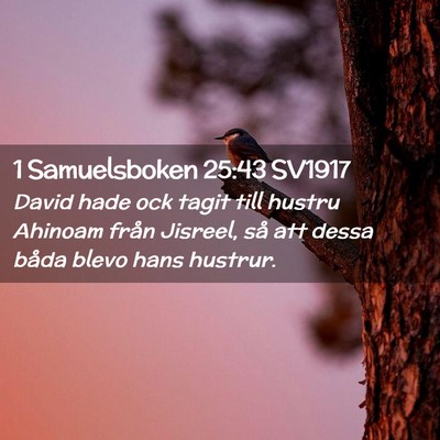 Picture 02 - 1 Samuelsboken 25:43 SV1917 - David hade ock tagit till hustru Ahinoam från - Bible Verse Picture