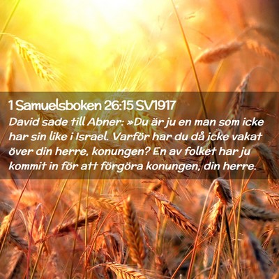 Picture 02 - 1 Samuelsboken 26:15 SV1917 - David sade till Abner: »Du är ju en man som - Bible Verse Picture
