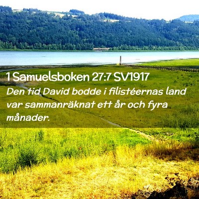 Picture 02 - 1 Samuelsboken 27:7 SV1917 - Den tid David bodde i filistéernas land var - Bible Verse Picture