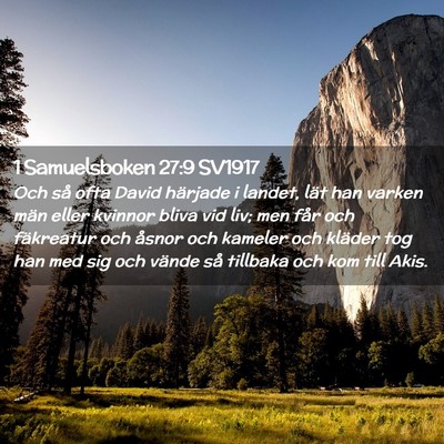 Picture 02 - 1 Samuelsboken 27:9 SV1917 - Och så ofta David härjade i landet, lät han - Bible Verse Picture