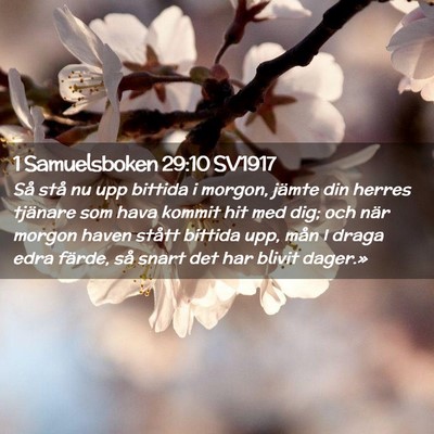 Picture 02 - 1 Samuelsboken 29:10 SV1917 - Så stå nu upp bittida i morgon, jämte din - Bible Verse Picture