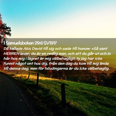 Picture 02 - 1 Samuelsboken 29:6 SV1917 - Då kallade Akis David till sig och sade till - Bible Verse Picture