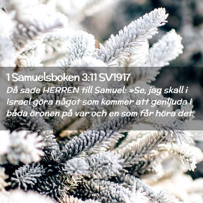Picture 02 - 1 Samuelsboken 3:11 SV1917 - Då sade HERREN till Samuel: »Se, jag skall i - Bible Verse Picture