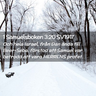 Picture 02 - 1 Samuelsboken 3:20 SV1917 - Och hela Israel, från Dan ända till Beer-Seba, - Bible Verse Picture