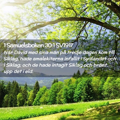 Picture 02 - 1 Samuelsboken 30:1 SV1917 - När David med sina män på tredje dagen kom - Bible Verse Picture