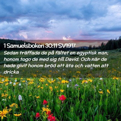 Picture 02 - 1 Samuelsboken 30:11 SV1917 - Sedan träffade de på fältet en egyptisk man; - Bible Verse Picture