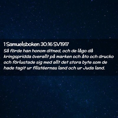 Picture 02 - 1 Samuelsboken 30:16 SV1917 - Så förde han honom ditned, och de lågo då - Bible Verse Picture