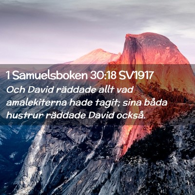 Picture 02 - 1 Samuelsboken 30:18 SV1917 - Och David räddade allt vad amalekiterna hade - Bible Verse Picture