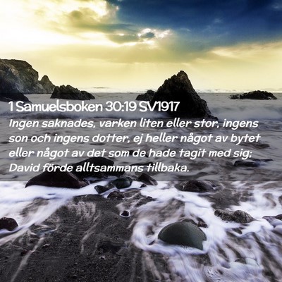 Picture 02 - 1 Samuelsboken 30:19 SV1917 - Ingen saknades, varken liten eller stor, ingens - Bible Verse Picture