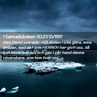 Picture 02 - 1 Samuelsboken 30:23 SV1917 - Men David svarade: »Så skolen I icke göra, - Bible Verse Picture