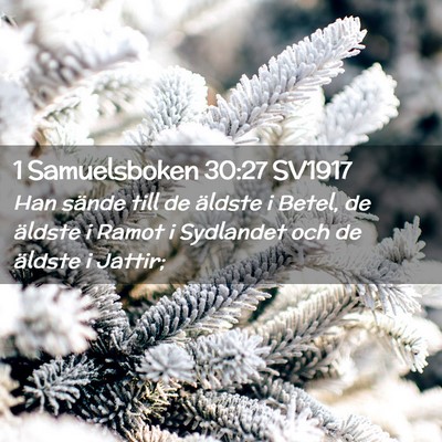 Picture 02 - 1 Samuelsboken 30:27 SV1917 - Han sände till de äldste i Betel, de äldste i - Bible Verse Picture