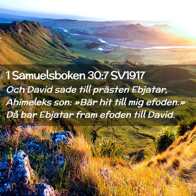 Picture 02 - 1 Samuelsboken 30:7 SV1917 - Och David sade till prästen Ebjatar, Ahimeleks - Bible Verse Picture