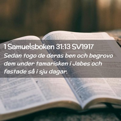 Picture 02 - 1 Samuelsboken 31:13 SV1917 - Sedan togo de deras ben och begrovo dem under - Bible Verse Picture
