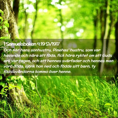 Picture 02 - 1 Samuelsboken 4:19 SV1917 - Och när hans sonhustru, Pinehas' hustru, som var - Bible Verse Picture